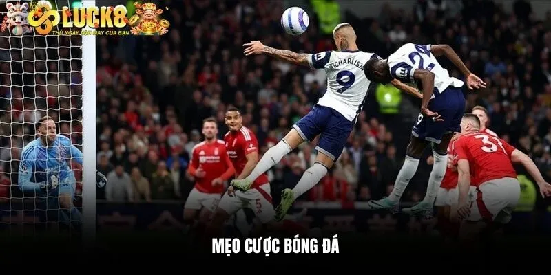 Mẹo Cược Bóng Đá Thắng Lớn Lên Đến 99.99% Từ Cao Thủ