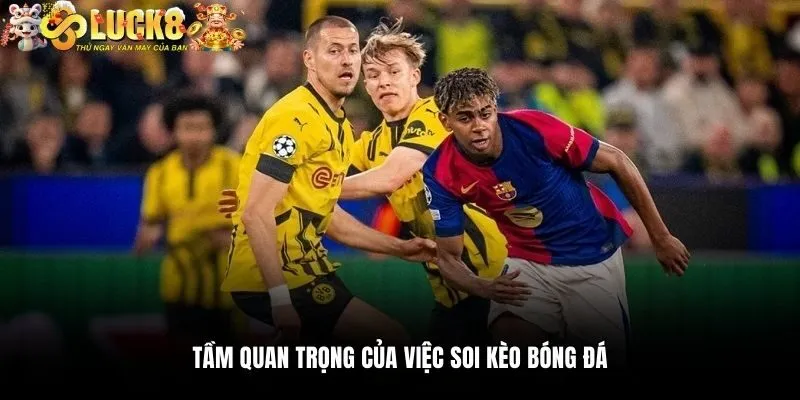 Tầm quan trọng của việc soi kèo bóng đá