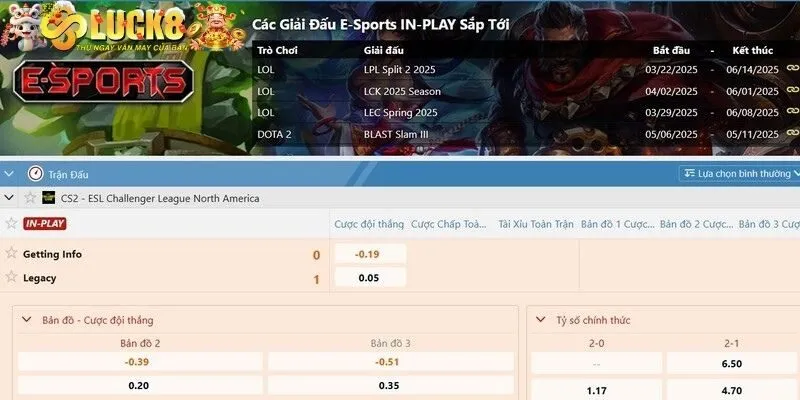 Tổng hợp những bộ môn được hội viên yêu thích tại nhà cái